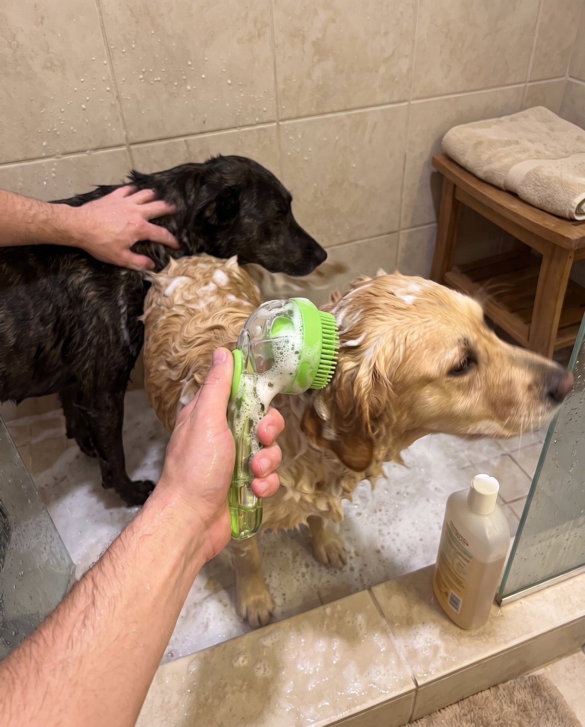 Recensione Marta - due cani lavati con spazzola verde con dispenser shampoo
