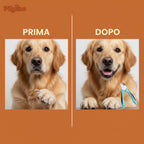 Prima e dopo il taglio delle unghie con Pilumo