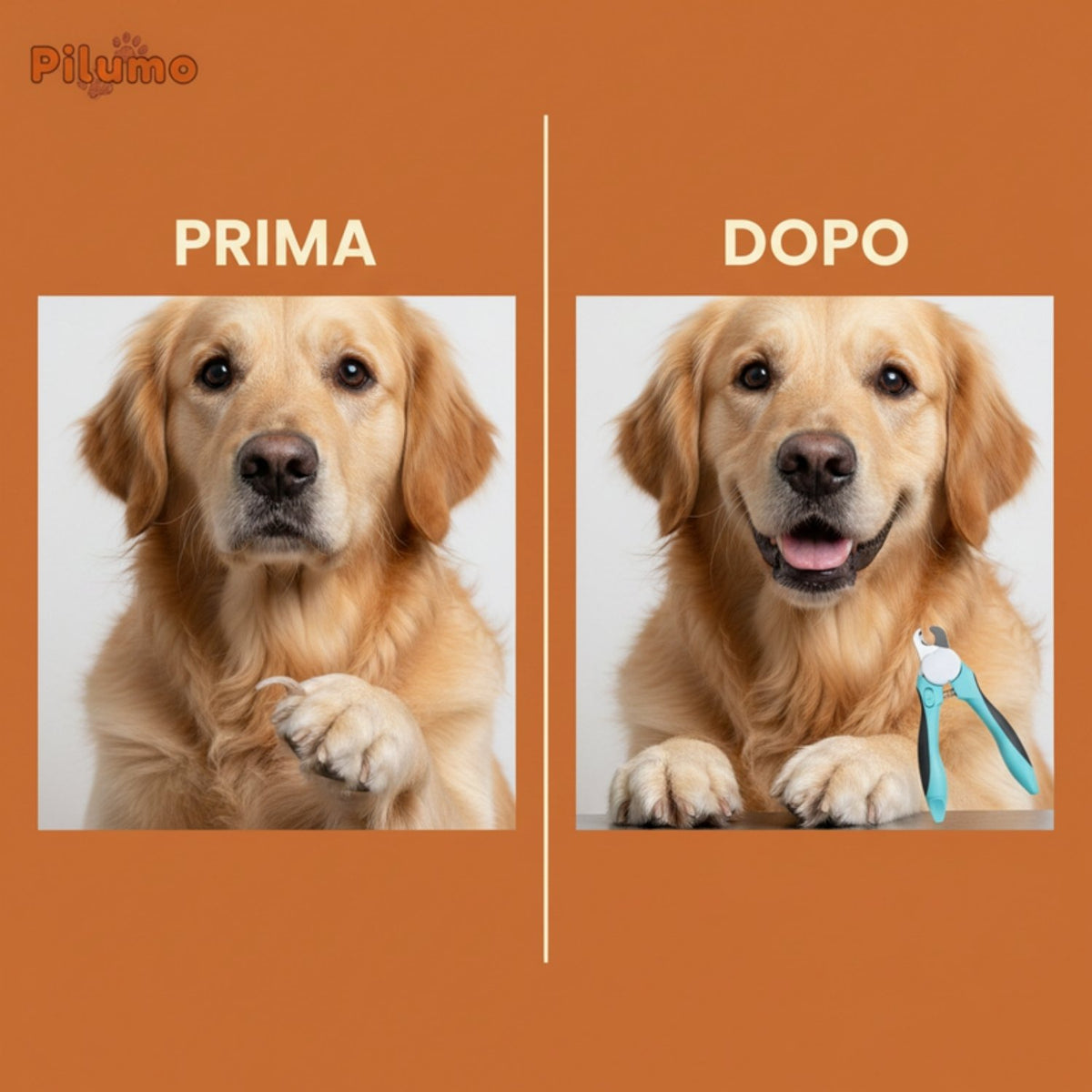 Prima e dopo il taglio delle unghie con Pilumo