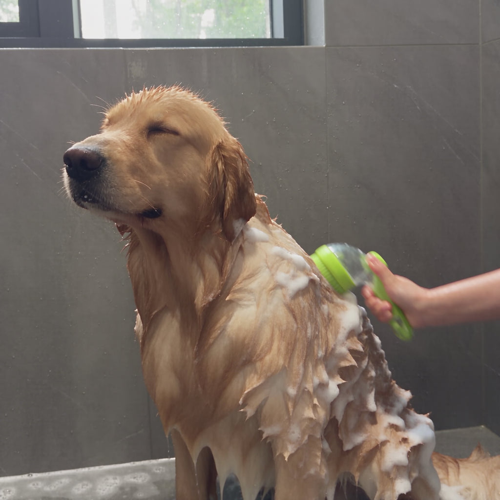 Spazzola da Bagno con Dispenser Shampoo per Cani e Gatti